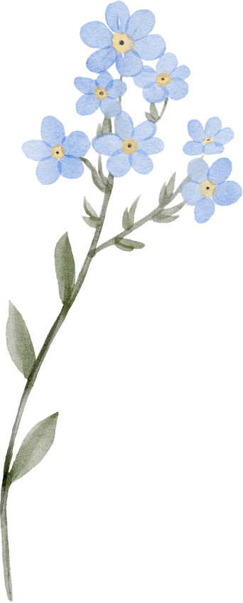 Watercolor blue wildflower
